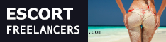 freelancers banner 234x60